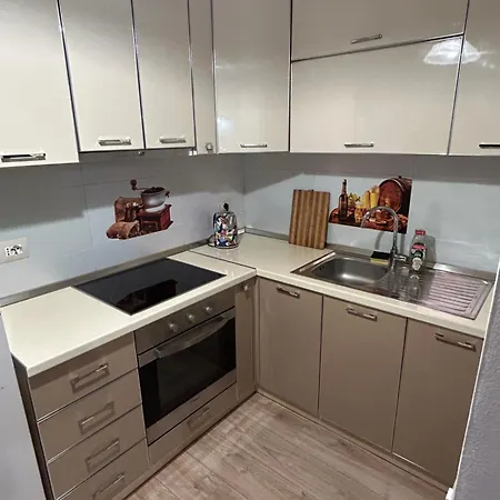 Penthouse Centre 公寓 地拉那